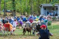 People Enjoying Music on the Mountain